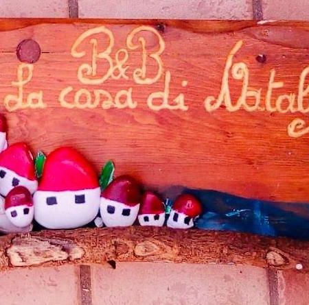 Bed and Breakfast La Casa Di Nataly Fregenae Zewnętrze zdjęcie