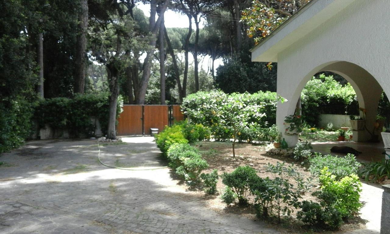 Bed and Breakfast La Casa Di Nataly Fregenae Zewnętrze zdjęcie