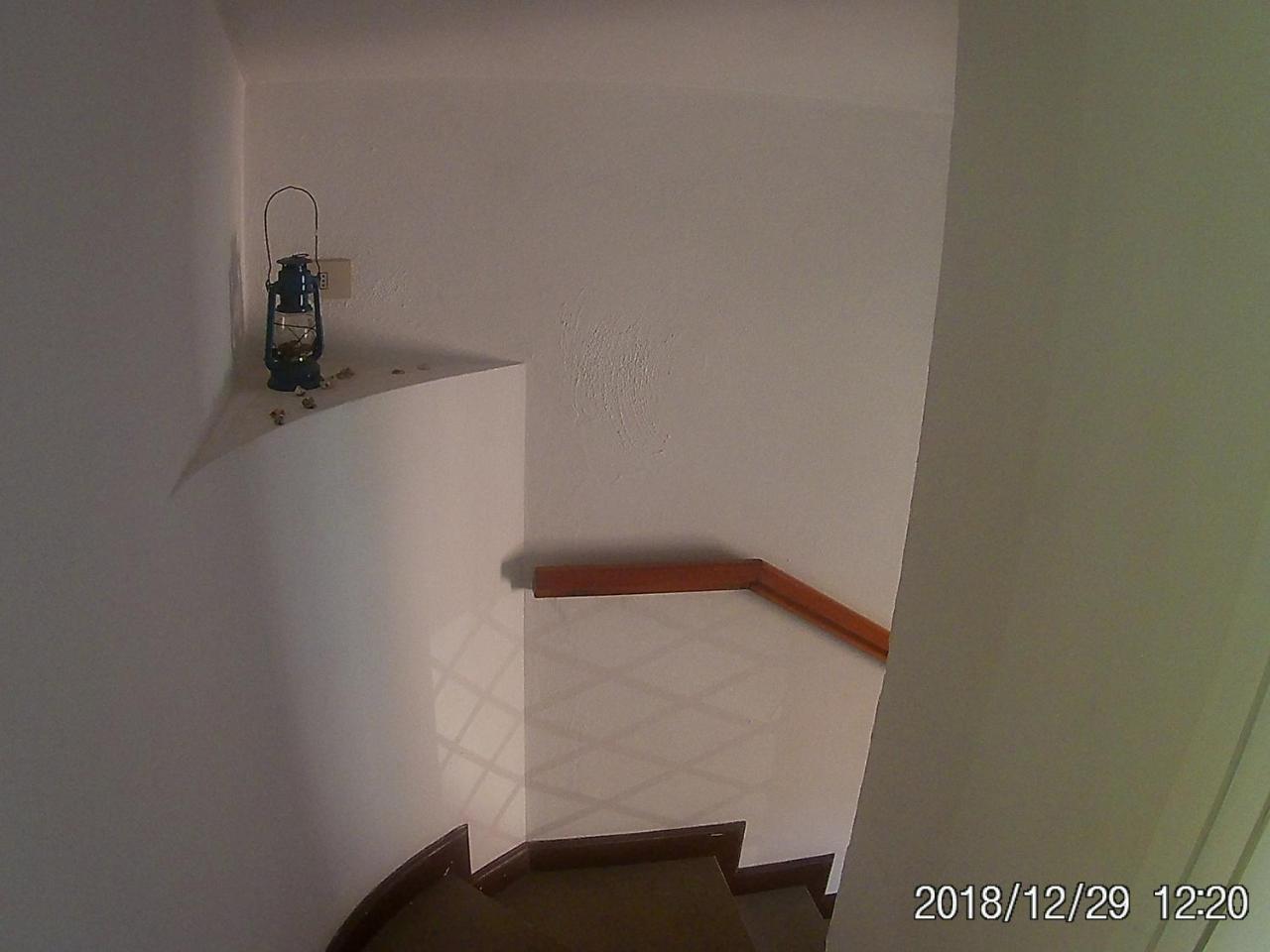 Bed and Breakfast La Casa Di Nataly Fregenae Zewnętrze zdjęcie