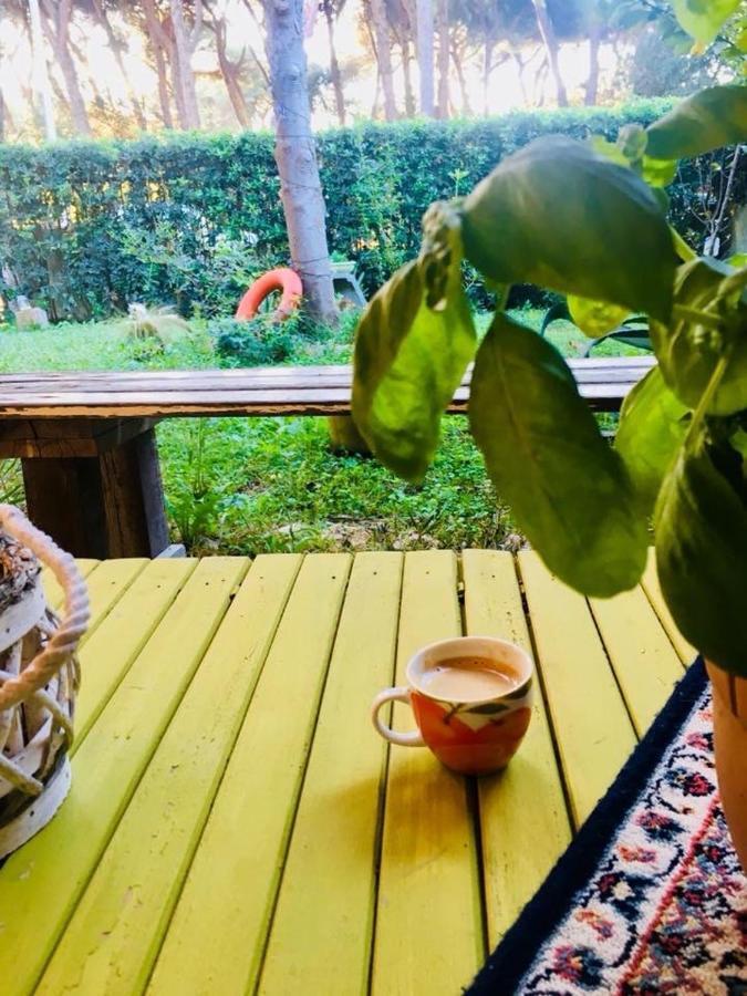 Bed and Breakfast La Casa Di Nataly Fregenae Zewnętrze zdjęcie