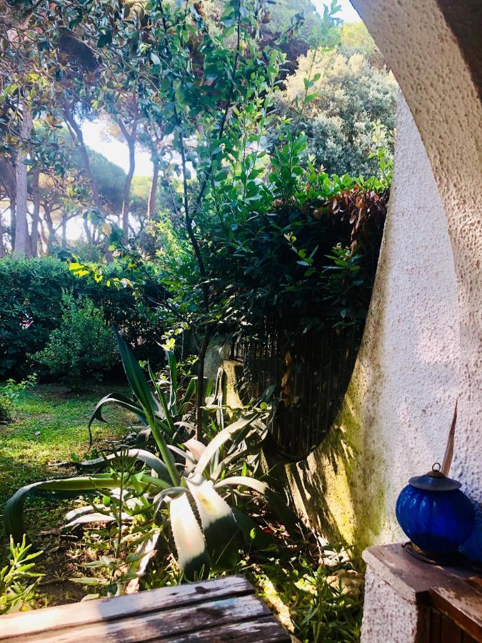 Bed and Breakfast La Casa Di Nataly Fregenae Zewnętrze zdjęcie